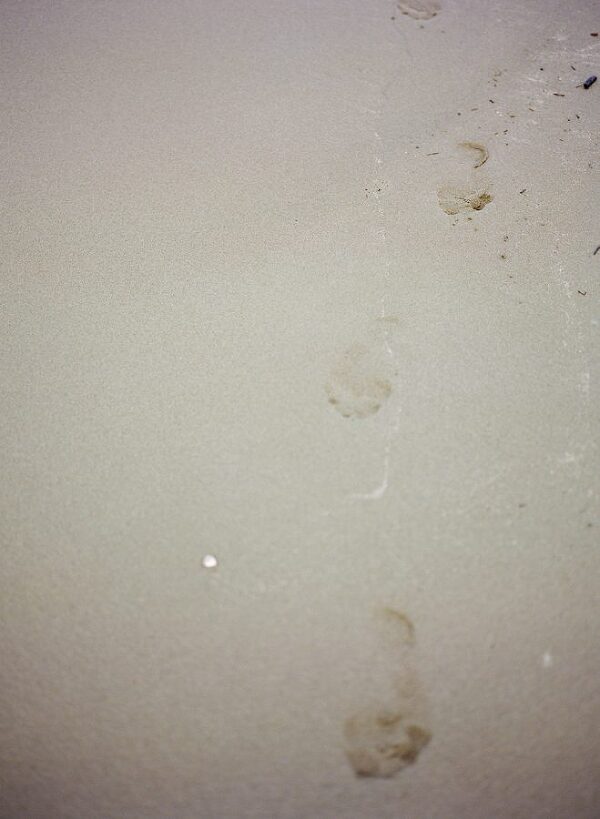 Bunn Salarzon - footprints in the sand