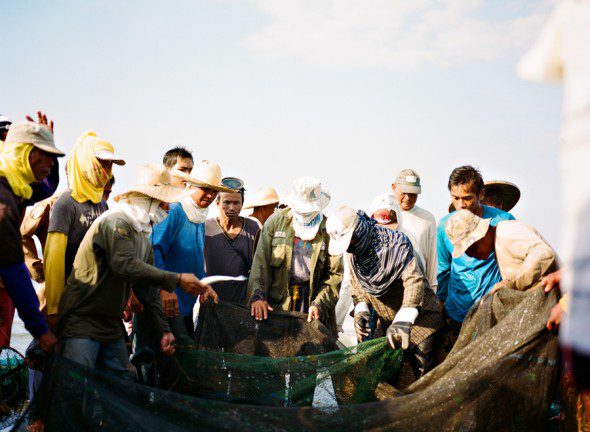 Bunn Salarzon - fishermen sorting catch of the day